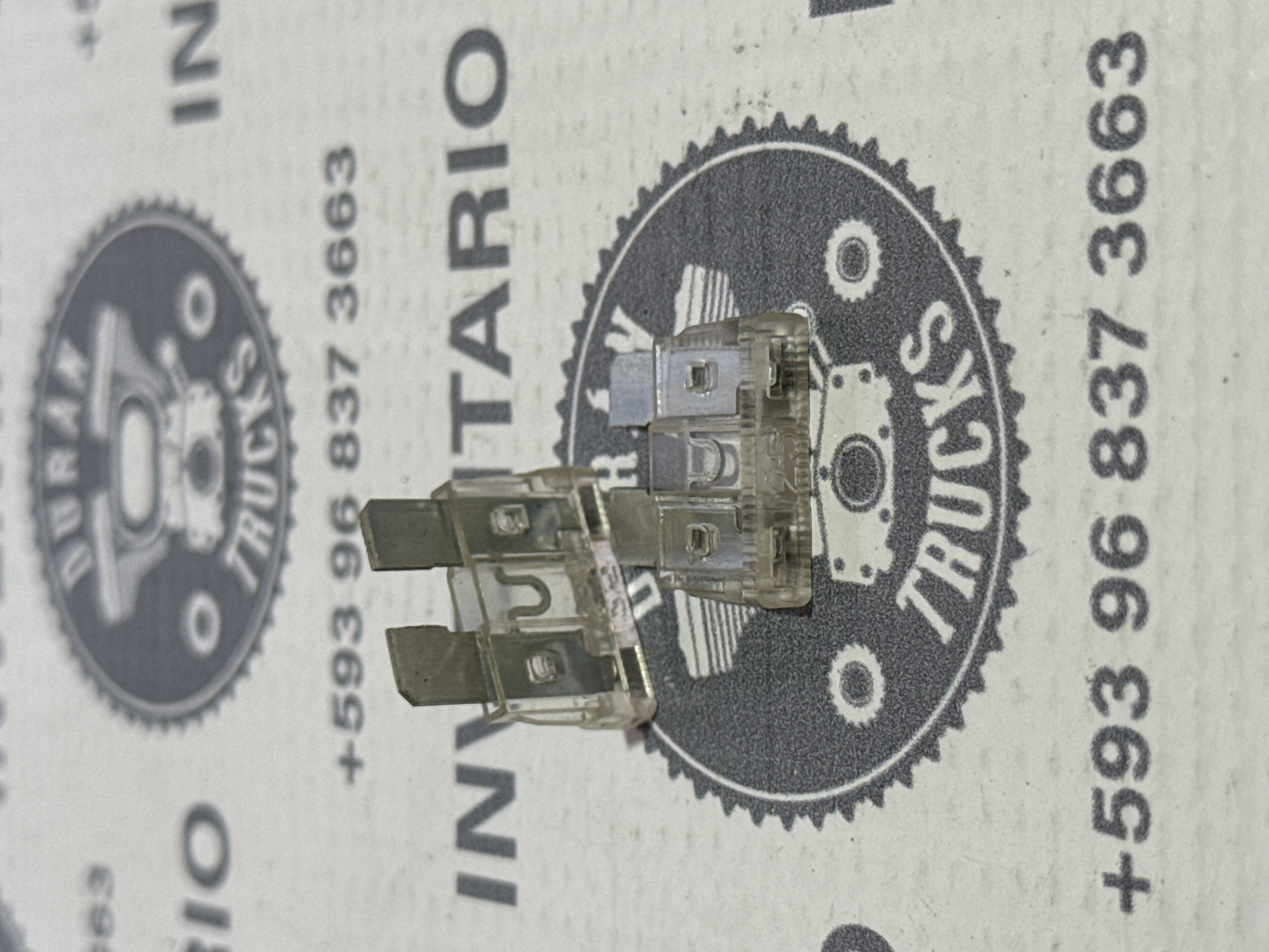 FUSIBLES 25 AMP COLOR TRANSPARENTE