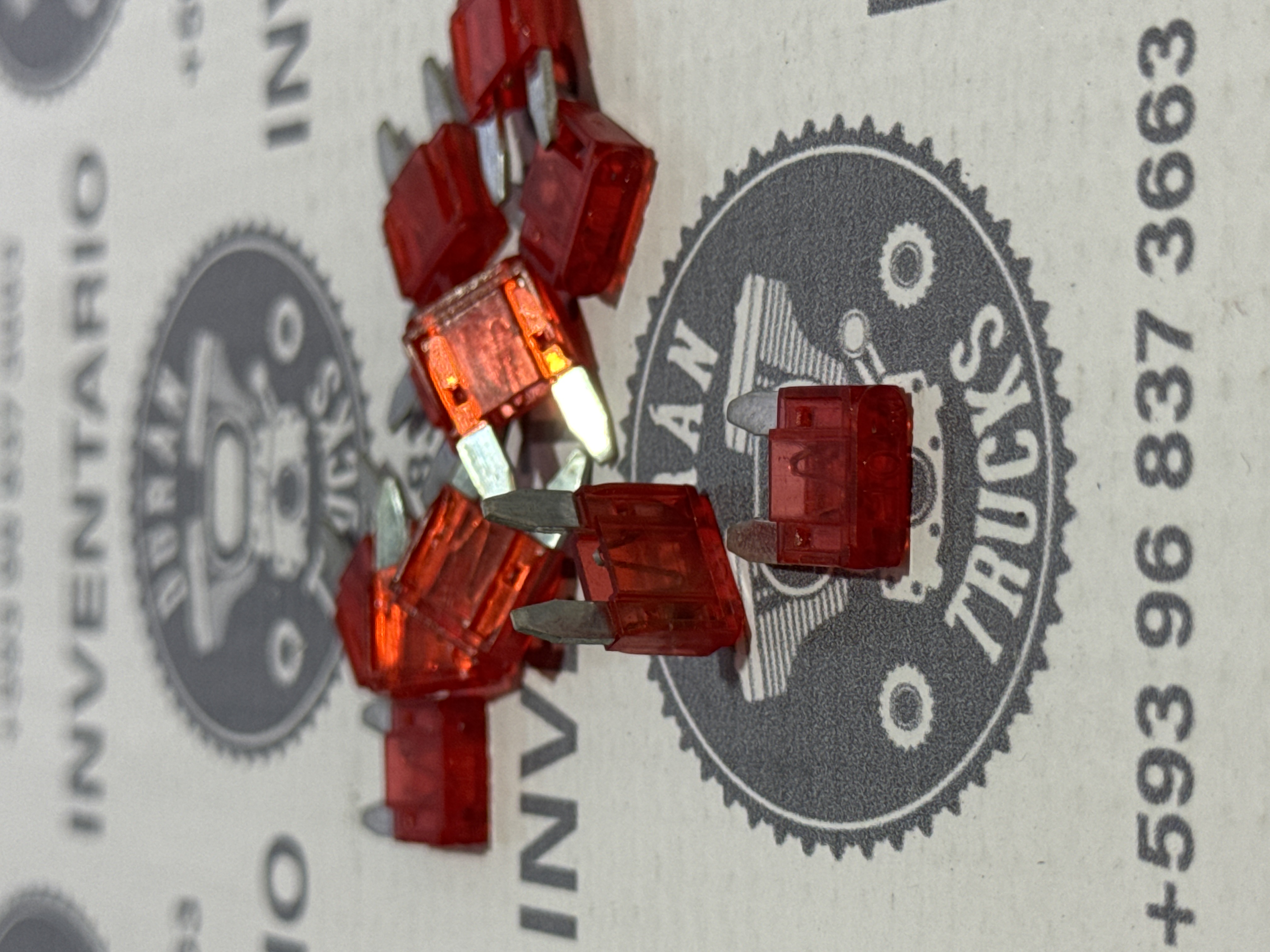 MINI FUSIBLES 10 AMP COLOR ROJO