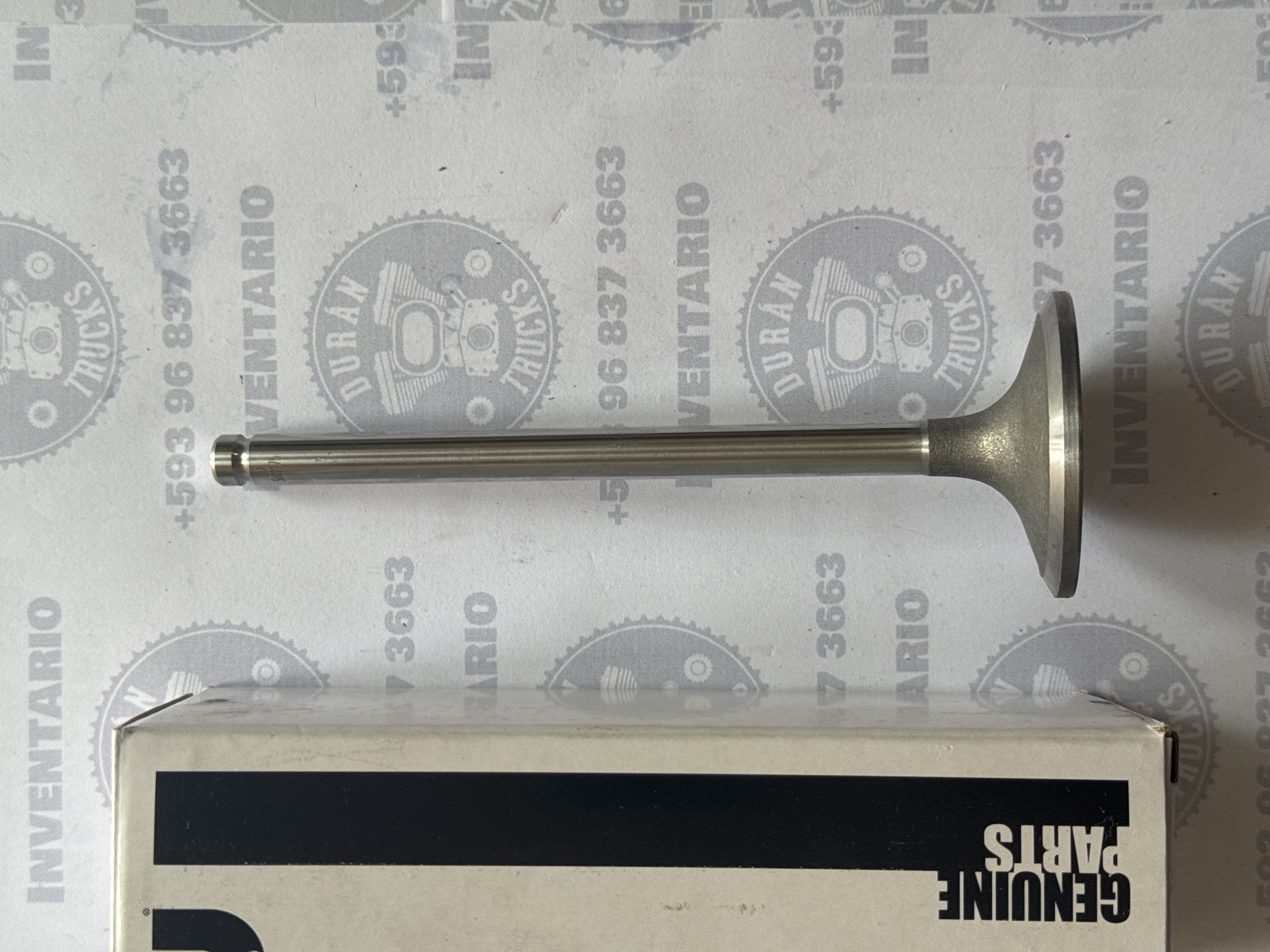VALVULAS DE ADMISION CUMMINS 6CT 8.3