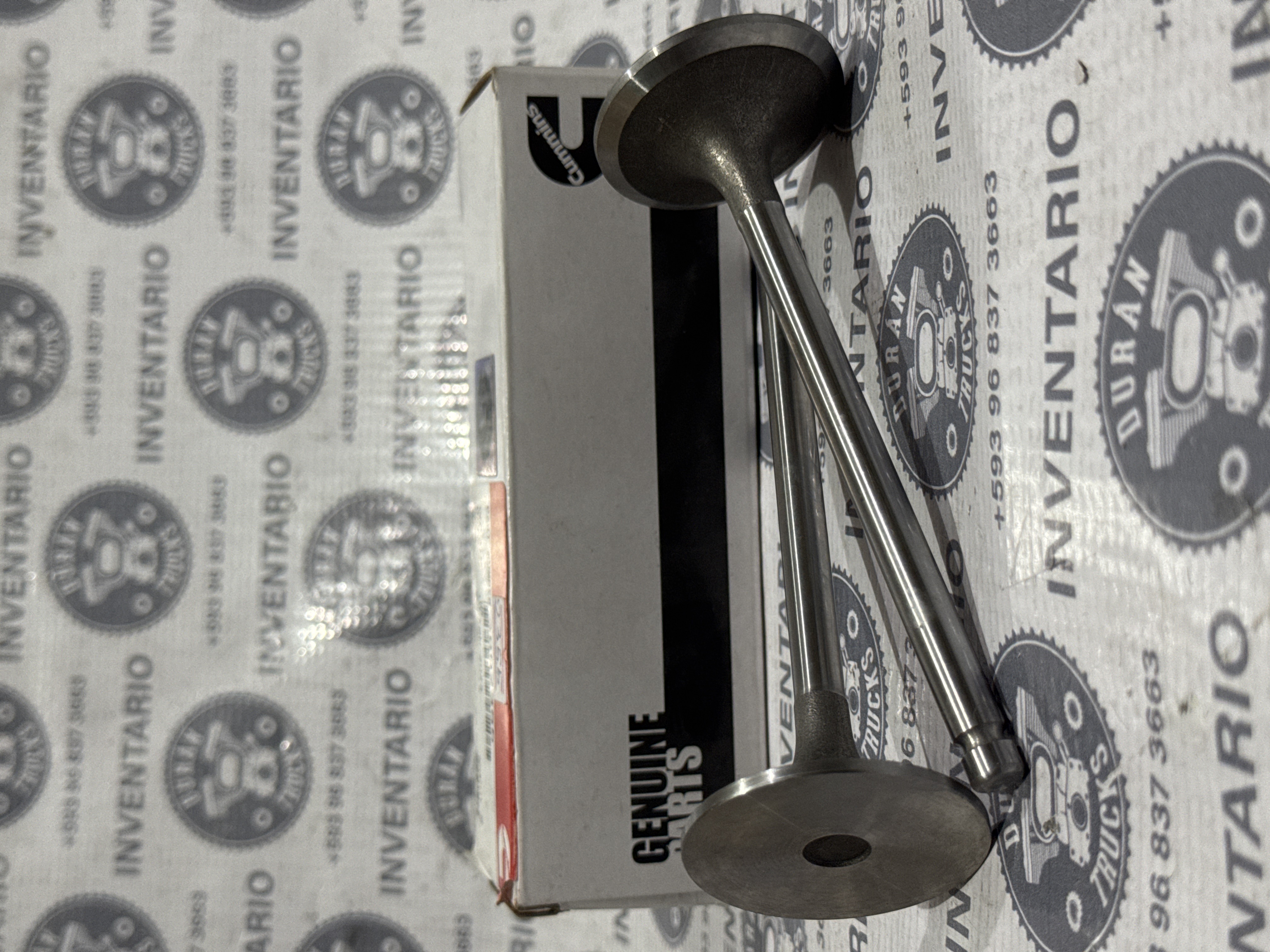 VALVULA DE ADMISION CUMMINS 4BT 6BT