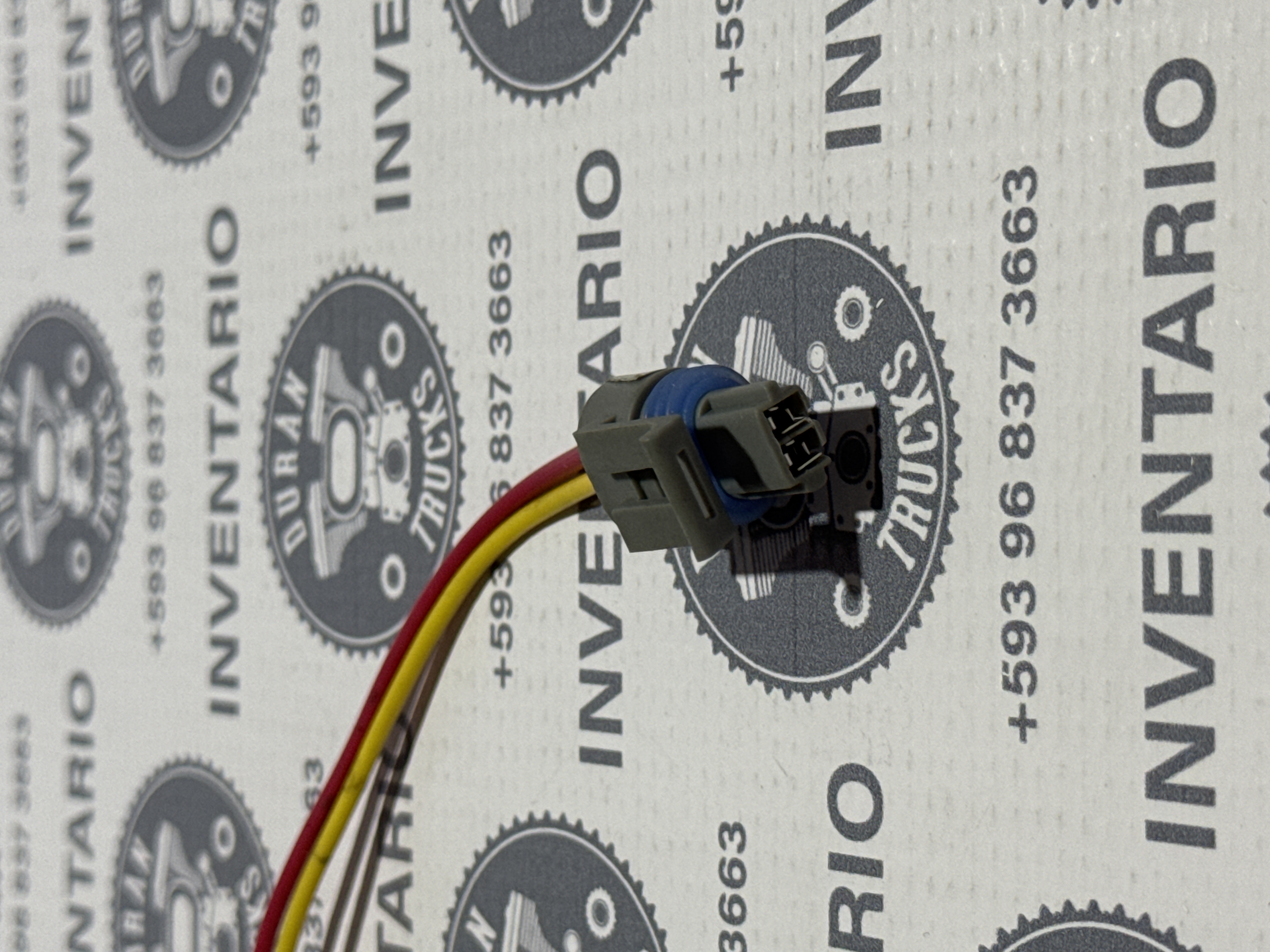 SOCKET DE DOS PINES