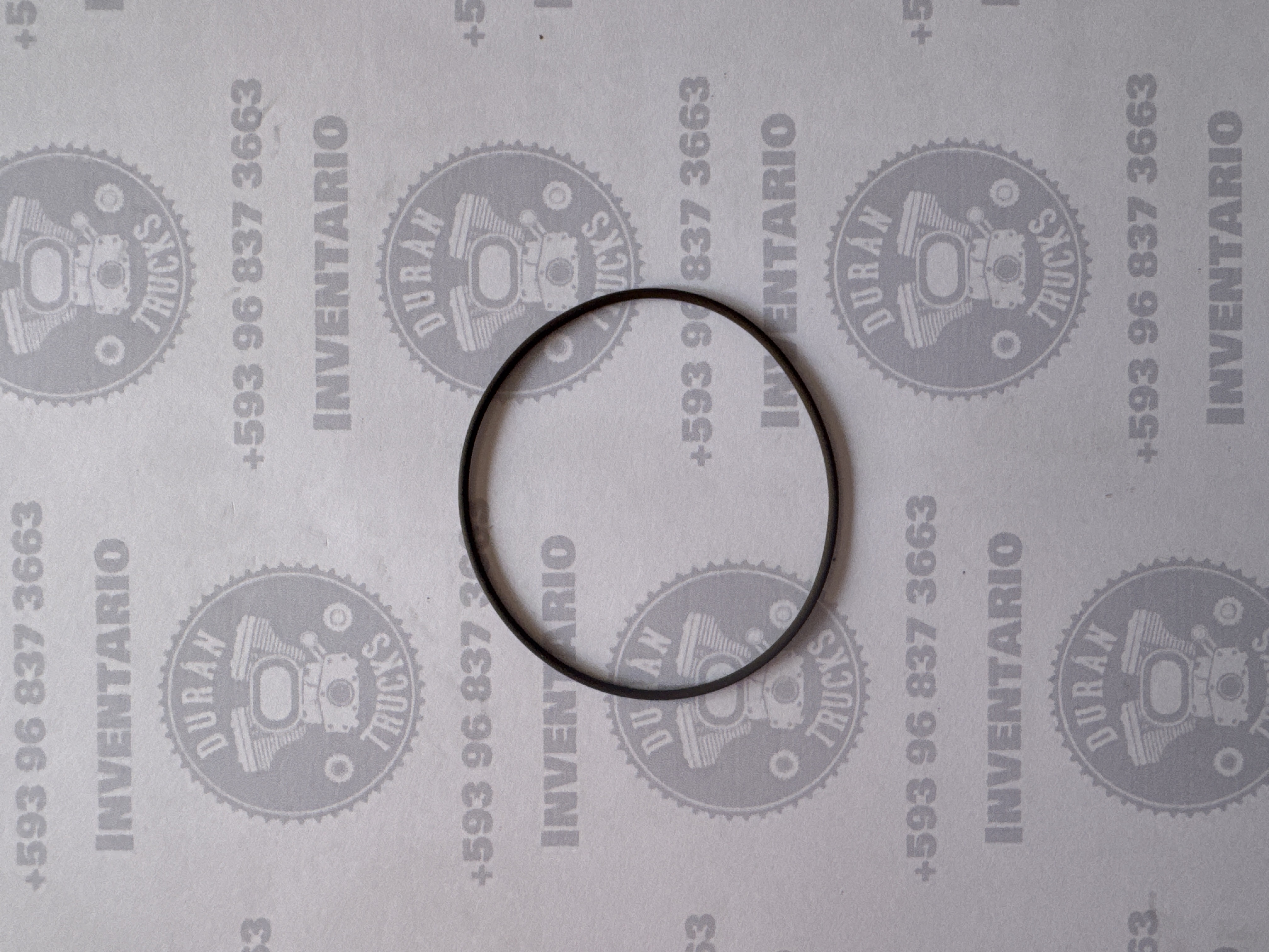 ORING DE PIÑON VELOCIMETRO
