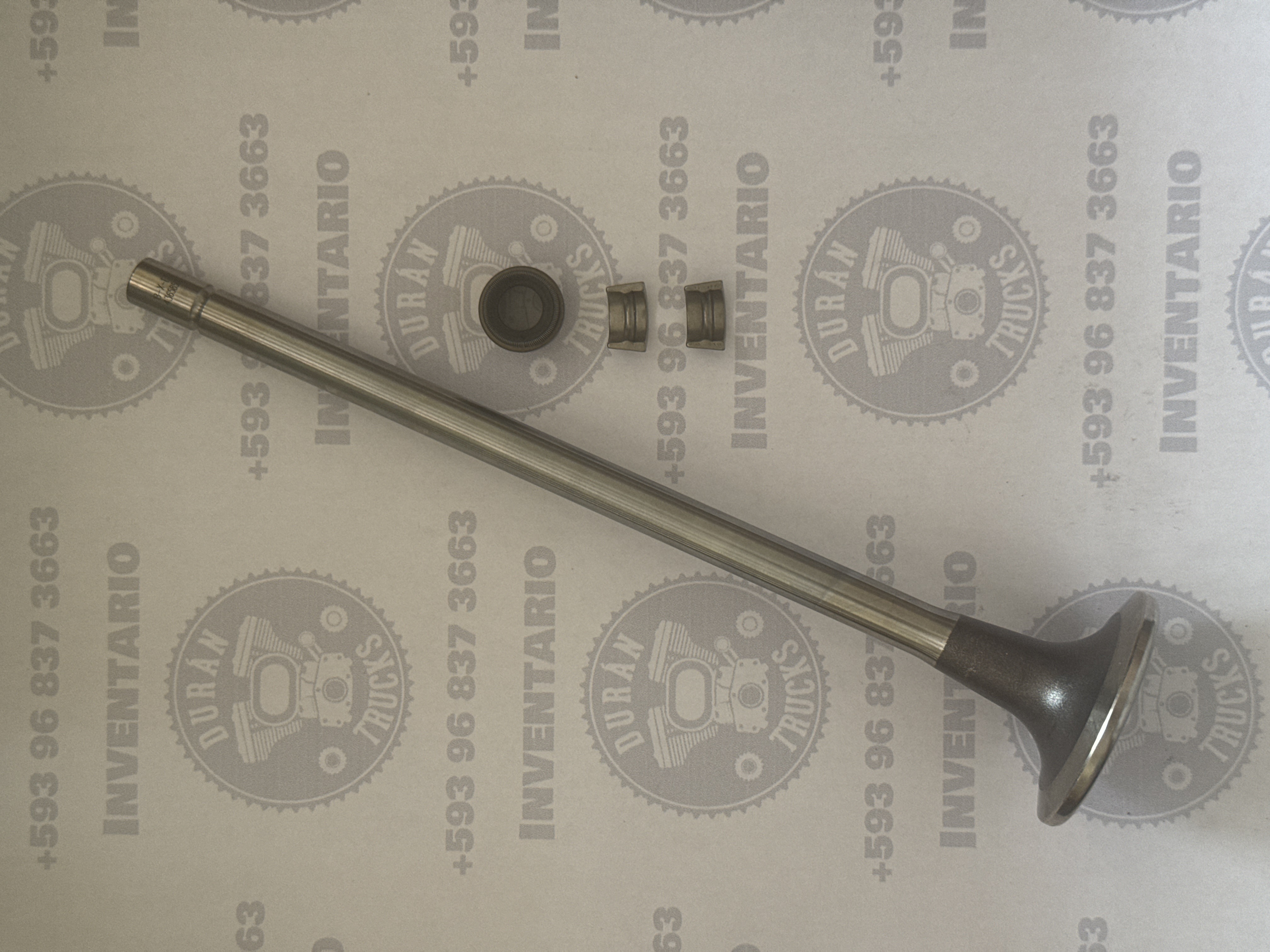 JGO. DE VALVULA DE ADMISION MOTOR CUMMINS ISZ